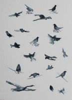 Bird sketches ink