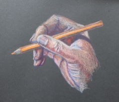 Hand coloured pencil