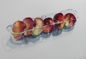 Flat peaches watercolour