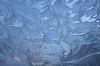 Frost photo 3