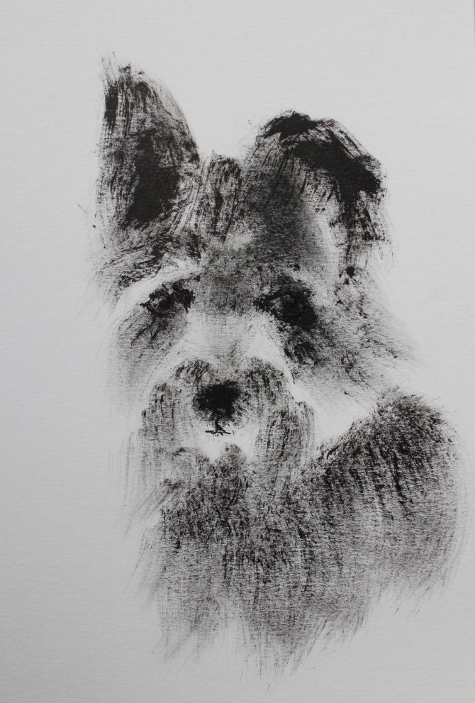 Dog sketch ink.JPG