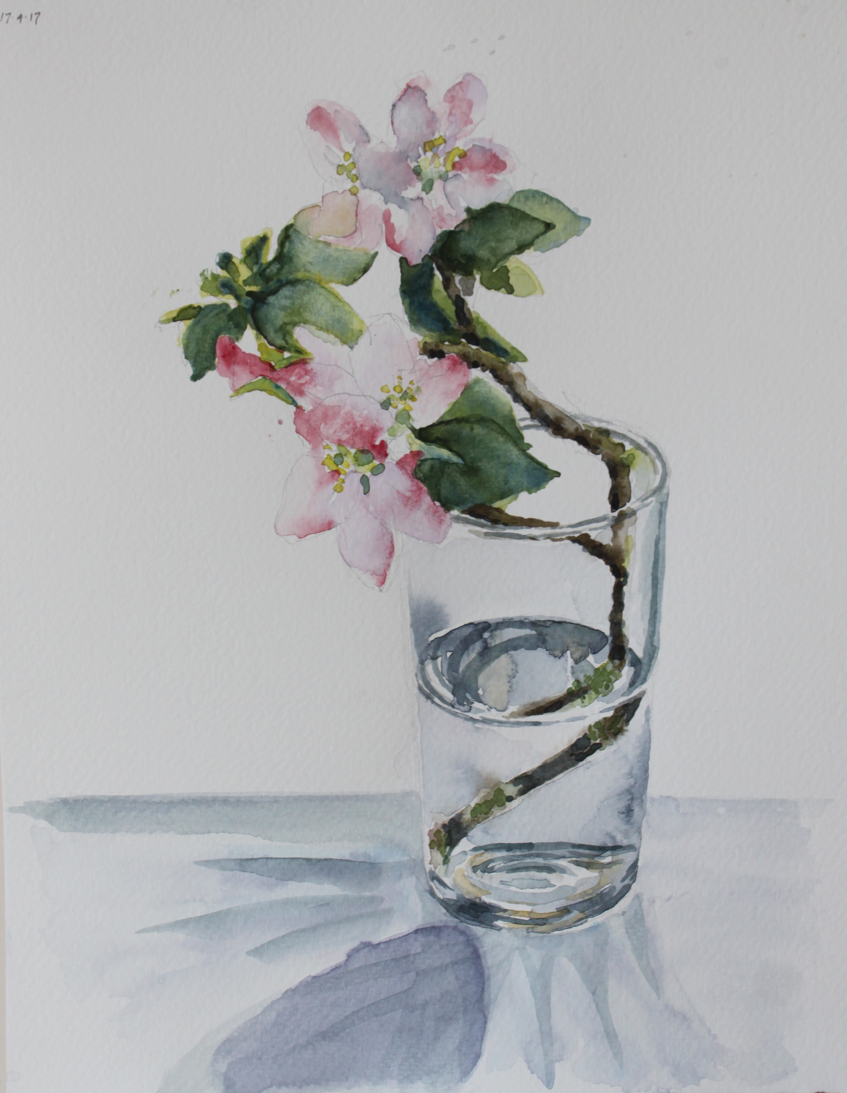 Apple blossom watercolour