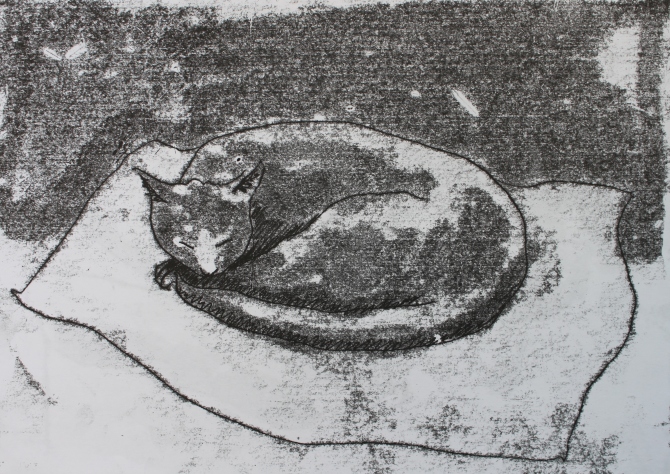 Cat cushion Monotype