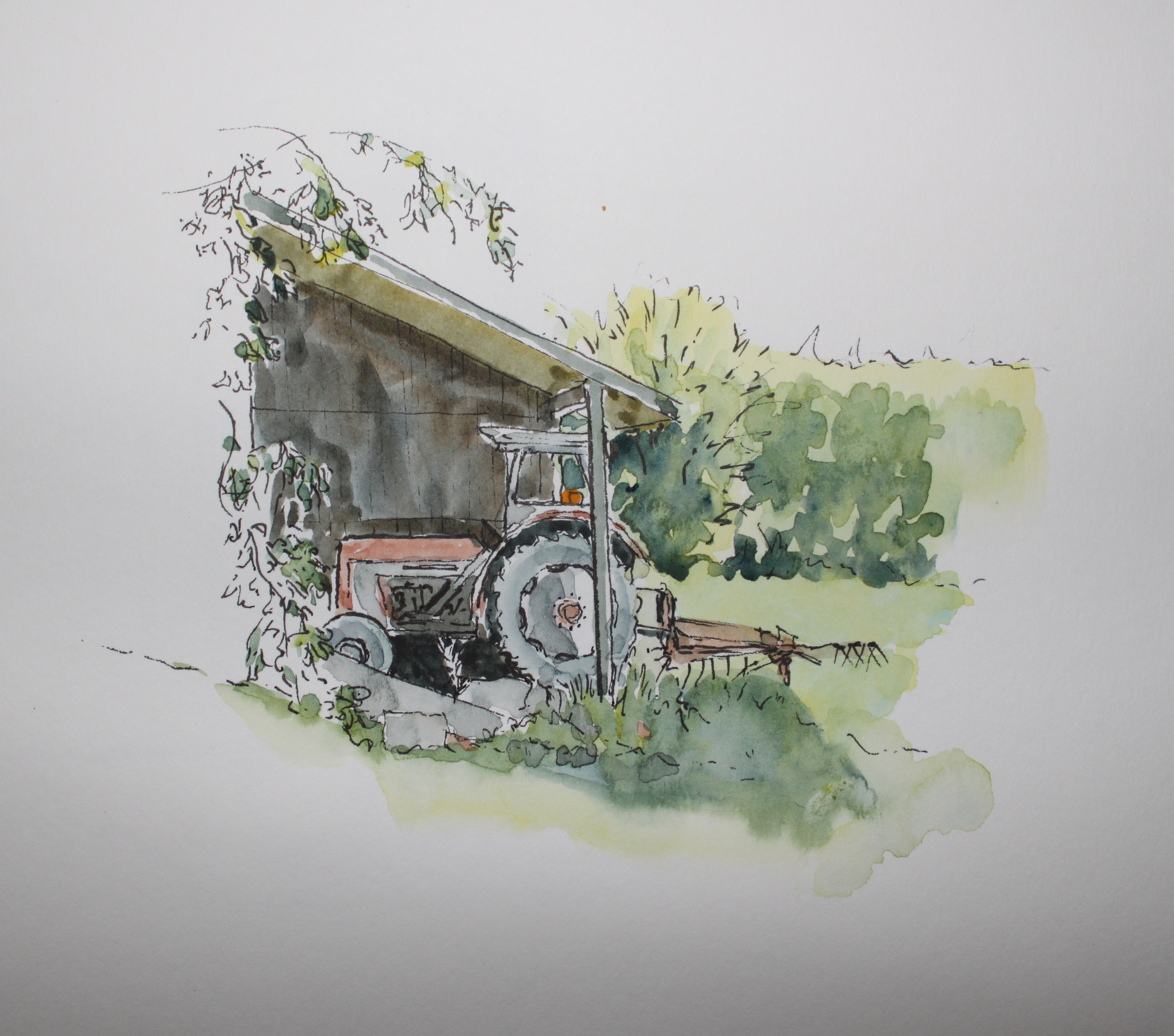 alex-tractor-watercolour.jpg